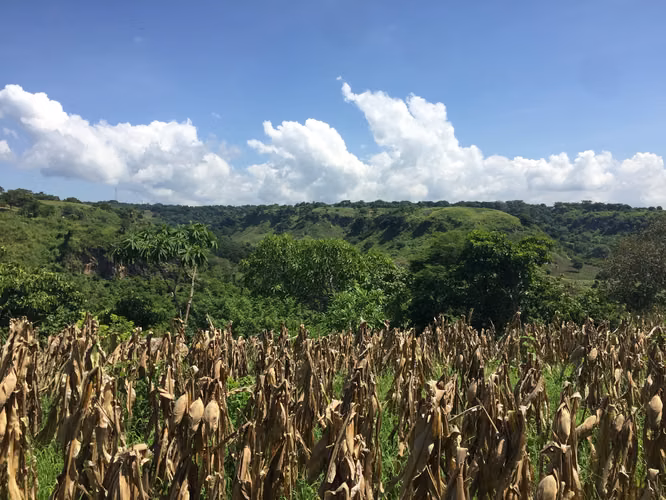 Se vende terreno por San Luis talpa 10 mil manzanas - Imagen 11