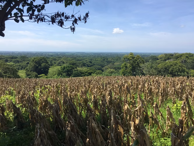 Se vende terreno por San Luis talpa 10 mil manzanas - Imagen 8