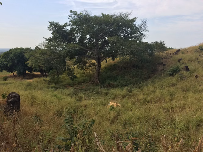 Se vende terreno por San Luis talpa 10 mil manzanas