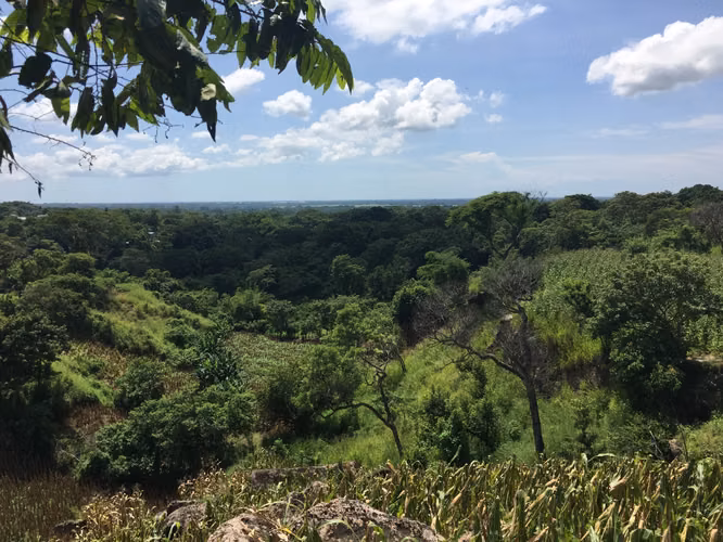 Se vende terreno por San Luis talpa 10 mil manzanas - Imagen 3