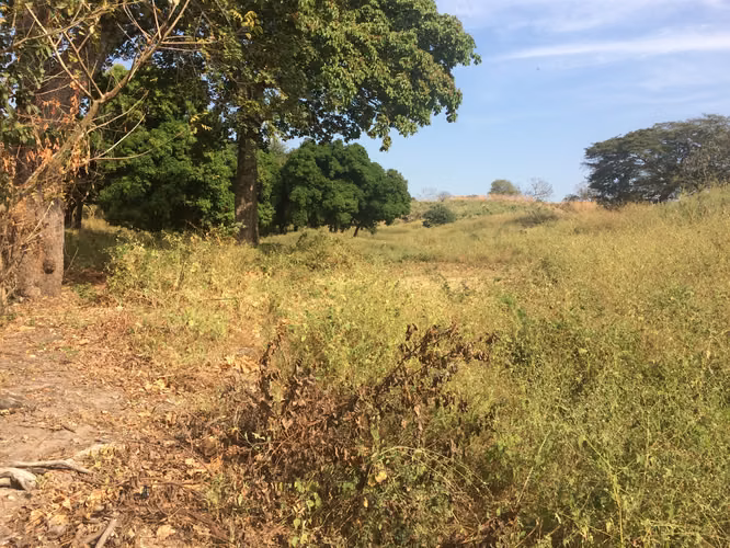 Se vende terreno por San Luis talpa 10 mil manzanas - Imagen 2