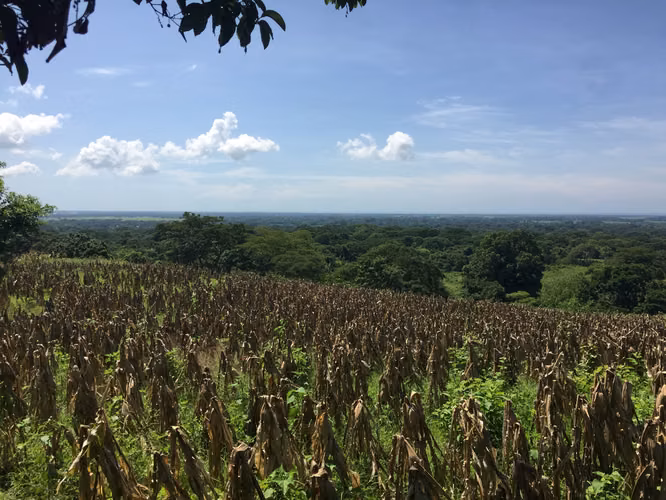 Se vende terreno por San Luis talpa 10 mil manzanas - Imagen 7