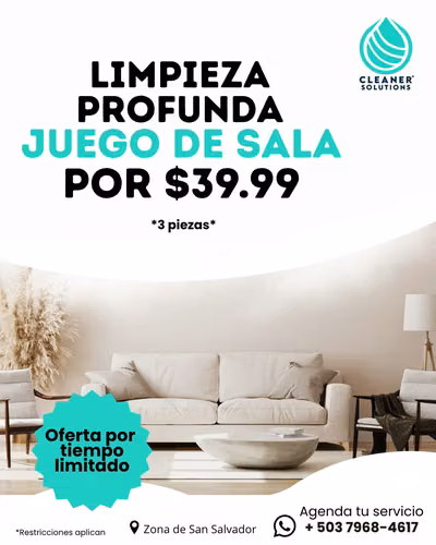 limpieza profunda de muebles 
