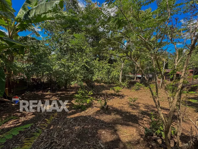 SONSONATE | TERRENO EN VENTA | CANTÓN CHILATA, SAN JULIÁN - Imagen 7