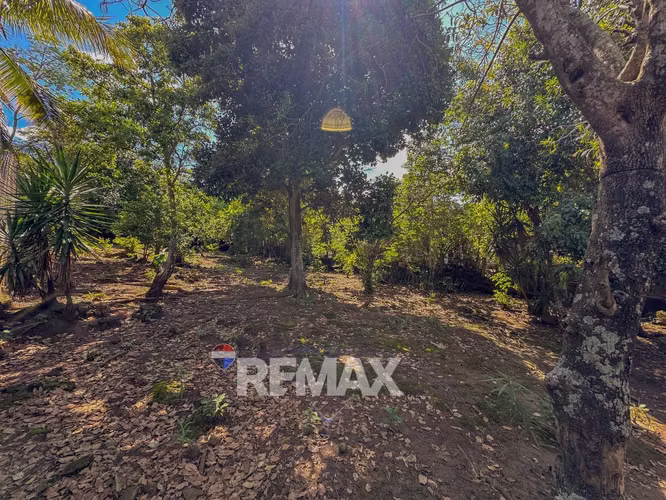 SONSONATE | TERRENO EN VENTA | CANTÓN CHILATA, SAN JULIÁN - Imagen 4