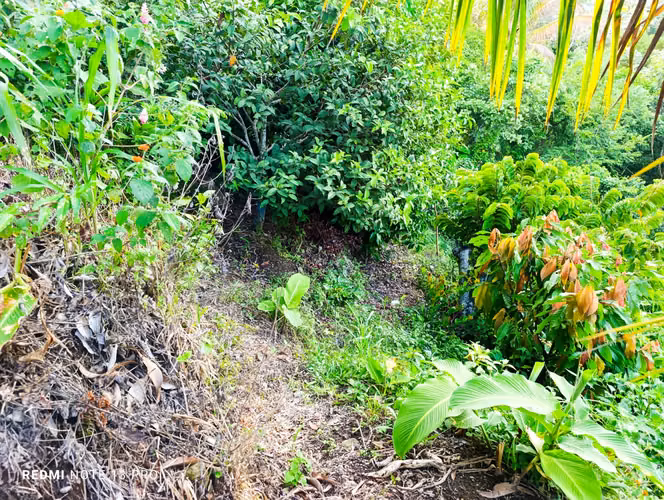 2 lots together for sale 700m ²