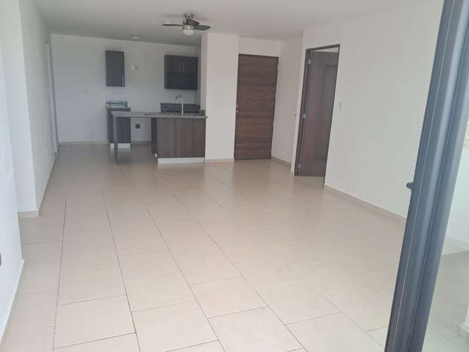 Moderno apartamento para solter@/petfriendly