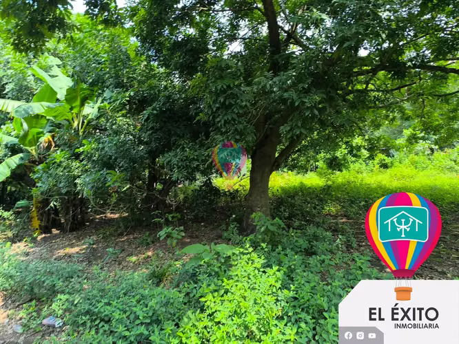 VENDO PRECIOSO TERRENO EN IZALCO, SONSONATE  - Imagen 10