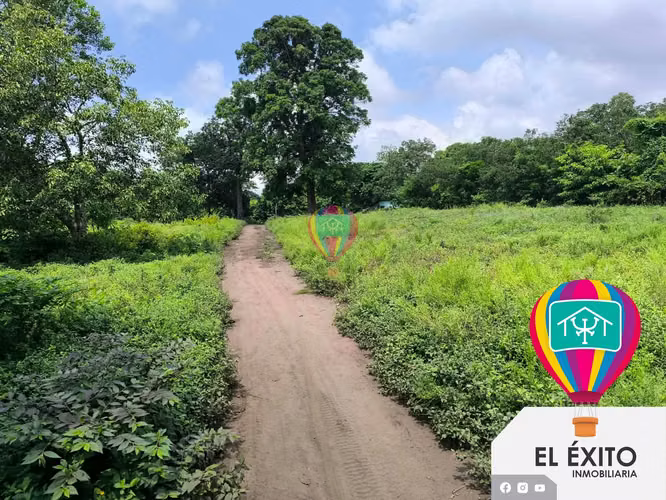 VENDO PRECIOSO TERRENO EN IZALCO, SONSONATE  - Imagen 12