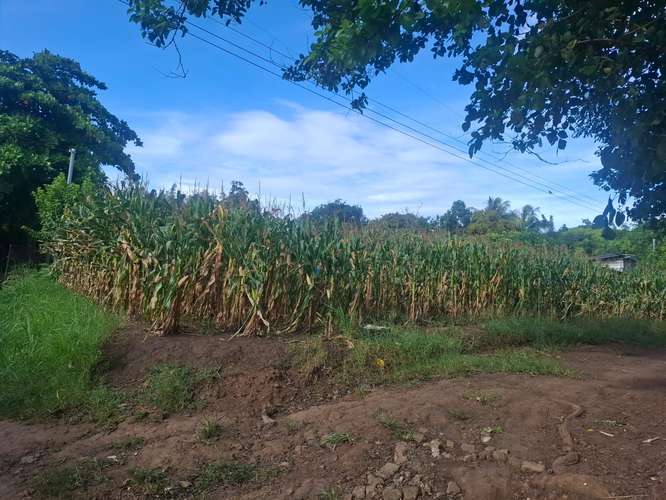 Vendo terreno plano