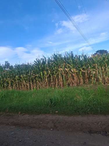 Vendo terreno plano