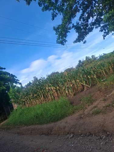 Vendo terreno plano