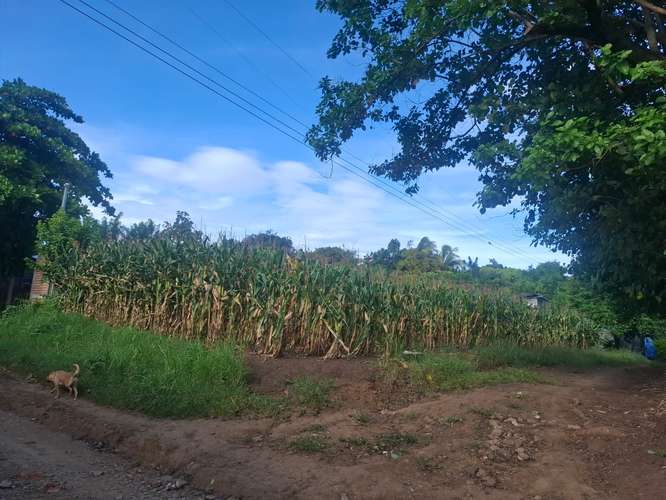 Vendo terreno plano