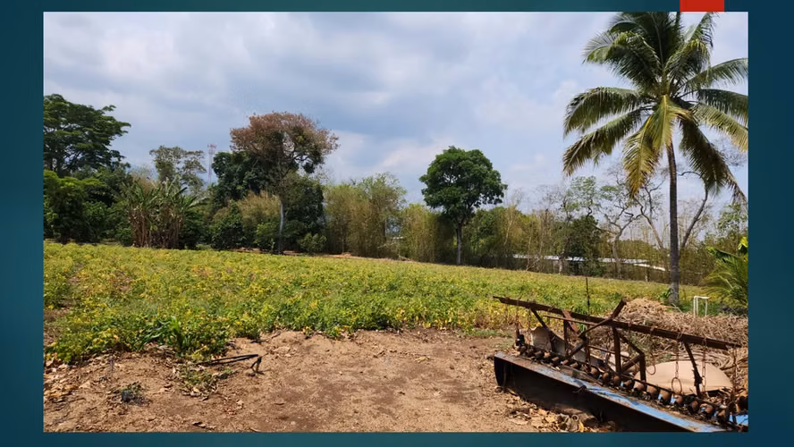VENTA DE TERRENO EN ATIQUIZAYA UBICADO DENTRO DE LA CIUDAD