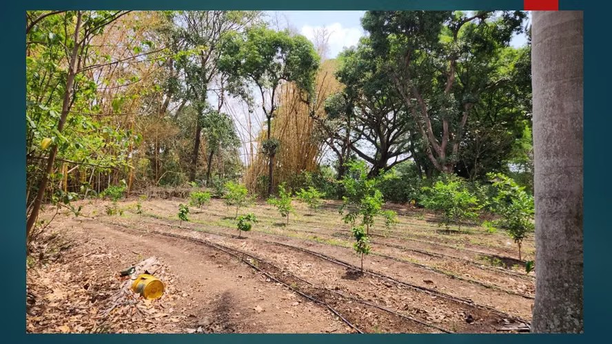 VENTA DE TERRENO EN ATIQUIZAYA UBICADO DENTRO DE LA CIUDAD - Imagen 2