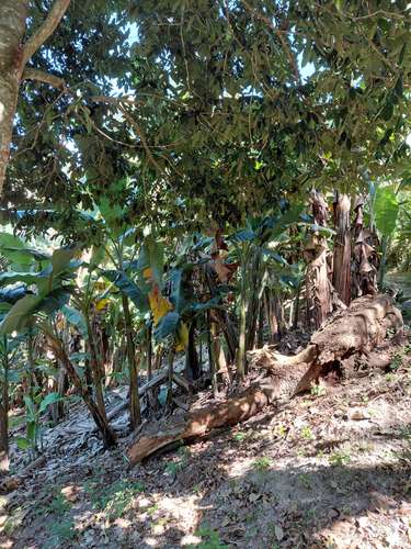 Terrenos en venta - Candelaria, Cuscatlán