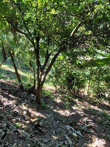 Terrenos en venta - Candelaria, Cuscatlán
