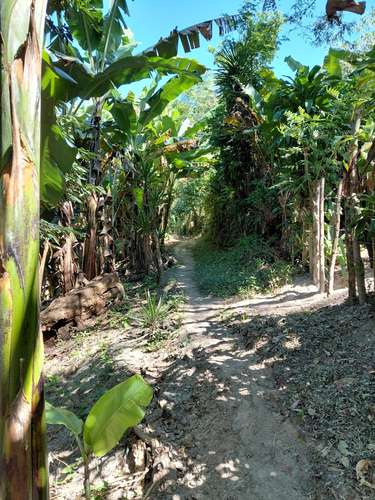 Terrenos en venta - Candelaria, Cuscatlán