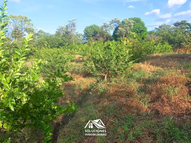 SE VENDE TERRENO EN CANTÓN EL ZARZAL, GUAYMANGO, AHUACHAPÁN. - Imagen 6