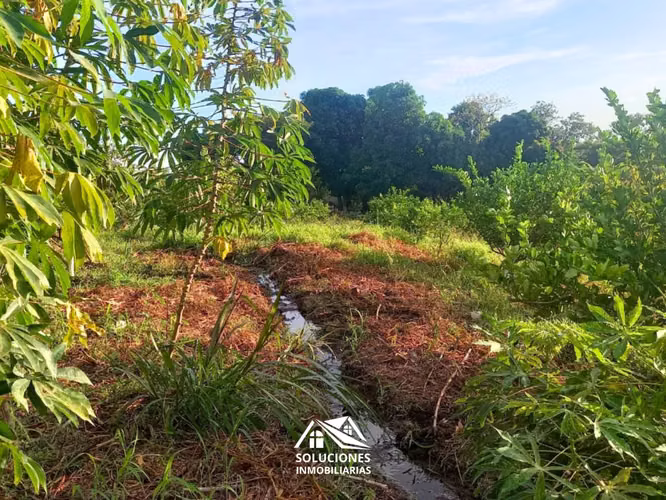 SE VENDE TERRENO EN CANTÓN EL ZARZAL, GUAYMANGO, AHUACHAPÁN. - Imagen 5