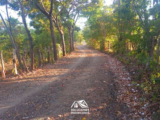 SE VENDE TERRENO EN CANTÓN EL ZARZAL, GUAYMANGO, AHUACHAPÁN. - Imagen 8