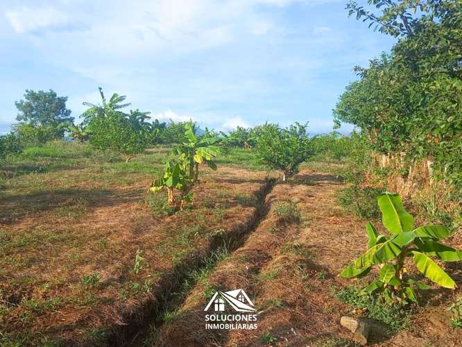 SE VENDE TERRENO EN CANTÓN EL ZARZAL, GUAYMANGO, AHUACHAPÁN. - Imagen 4