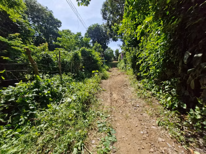 VENTA LOTE EN COLONIA EL MORA SANTA ANA  - Imagen 4