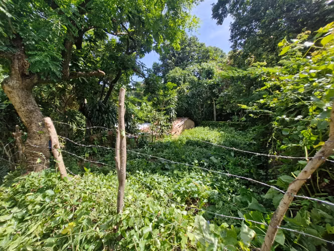 VENTA LOTE EN COLONIA EL MORA SANTA ANA  - Imagen 3