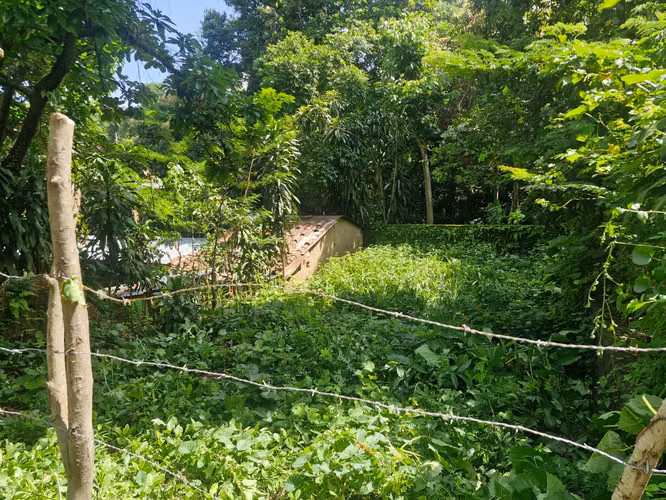 VENTA LOTE EN COLONIA EL MORA SANTA ANA  - Imagen 5