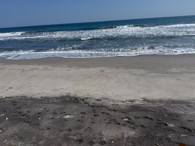 VENDO RANCHO DE PRIMERA FILA EN PLAYA EL PIMEMTAL, LA PAZ - Imagen 11