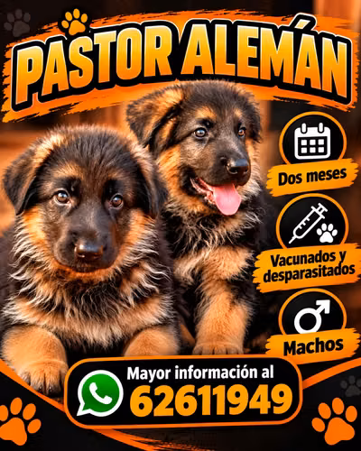 They have two months already found their father veterinary control with registration