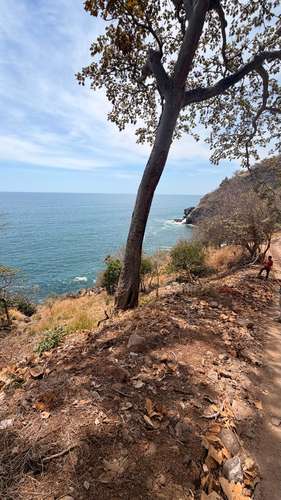 SE VENDE TERRENO FRENTE AL MAR EN ACANTILADOS CON VISTA, Ubicación: Cerca de Playa El Zonte, un entorno paradisíaco, Vis - Imagen 8