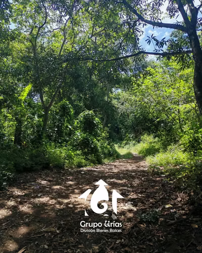 TERRENO EN VENTA – SANTA ANA - Imagen 10