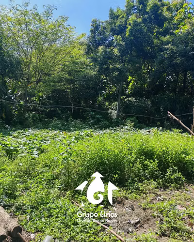 TERRENO EN VENTA – SANTA ANA - Imagen 7