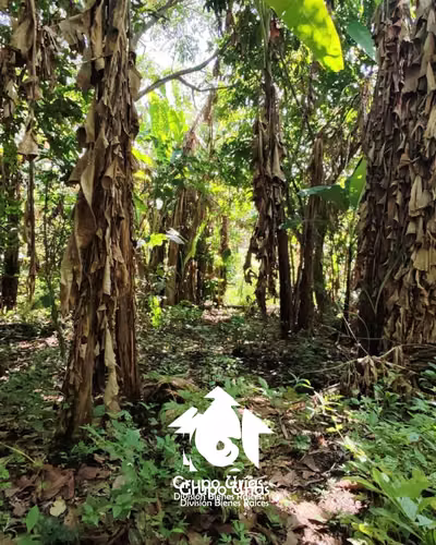 TERRENO EN VENTA – SANTA ANA - Imagen 5