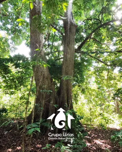 TERRENO EN VENTA – SANTA ANA - Imagen 9