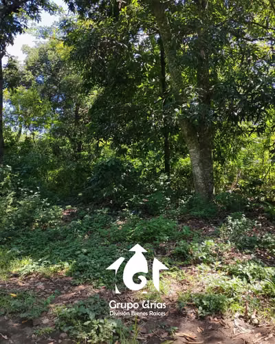 TERRENO EN VENTA – SANTA ANA - Imagen 8