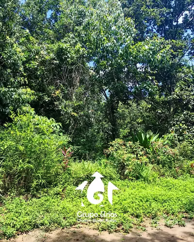 TERRENO EN VENTA – SANTA ANA - Imagen 2