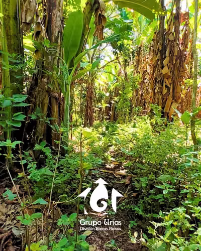 TERRENO EN VENTA – SANTA ANA - Imagen 13