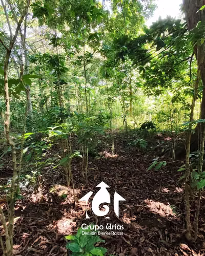 TERRENO EN VENTA – SANTA ANA - Imagen 11