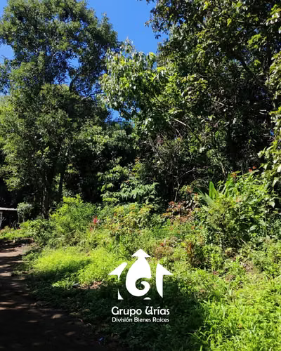 TERRENO EN VENTA – SANTA ANA - Imagen 12
