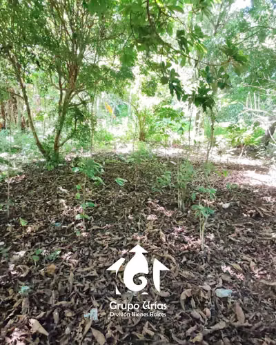 TERRENO EN VENTA – SANTA ANA - Imagen 4
