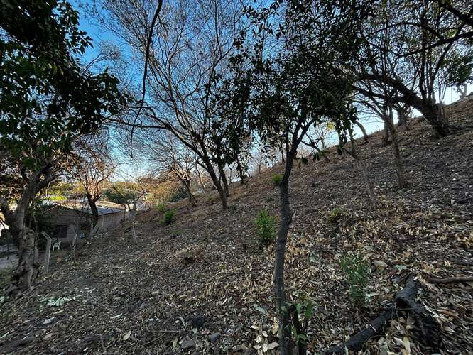 Belleza de terreno con vista al mar, cerca de sunset Park. BTC Accepted 