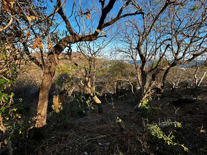 Belleza de terreno con vista al mar, cerca de sunset Park. BTC Accepted 