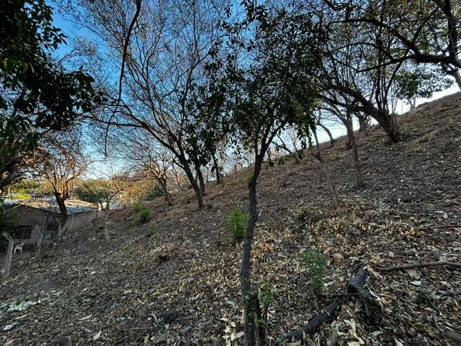 Belleza de terreno con vista al mar, cerca de sunset Park. BTC Accepted 