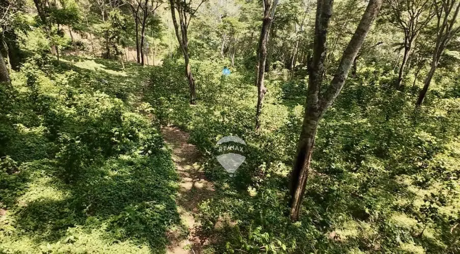 Terreno 3,025 m2 con café y bálsamo en Atiluya, Sonsonate - Imagen 5