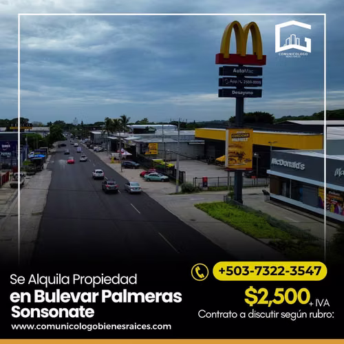 Se Alquila Terreno Frente a Bulevar Palmeras Sonzacate Sonsonate  - Imagen 5