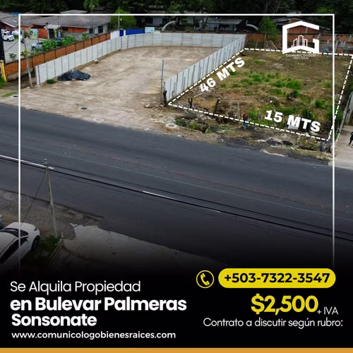 Se Alquila Terreno Frente a Bulevar Palmeras Sonzacate Sonsonate  - Imagen 3