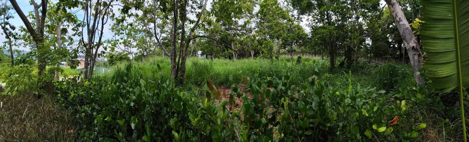 Terreno en venta en Country Club El Encanto, San José Villanueva - Imagen 3