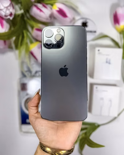 iPhone 12 Pro Max 